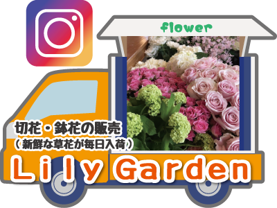 Lily Garden
